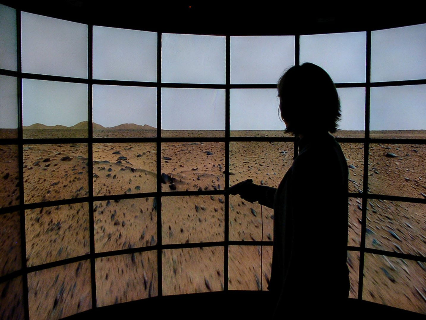 The Varrier™ autostereoscopic virtual reality display